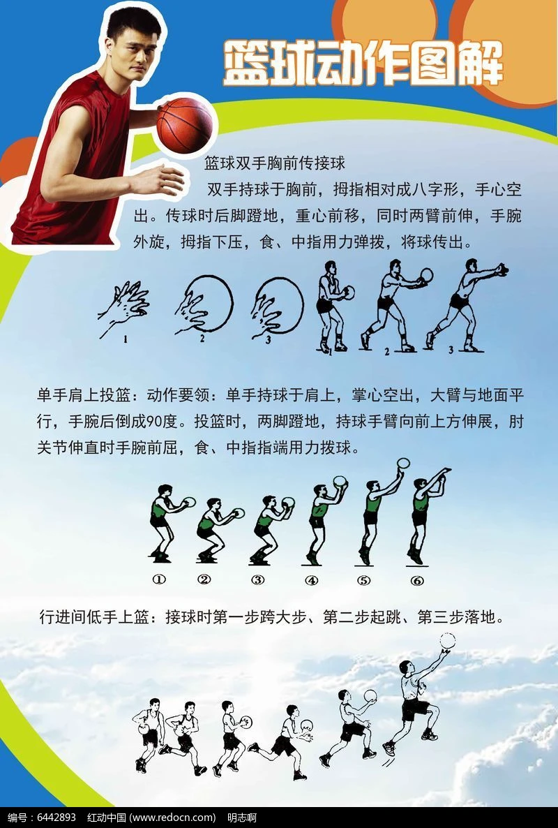 如何根据体型设计高效的篮球训练方案_0